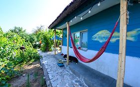 Danube Delta Hostel Homestay & Camping